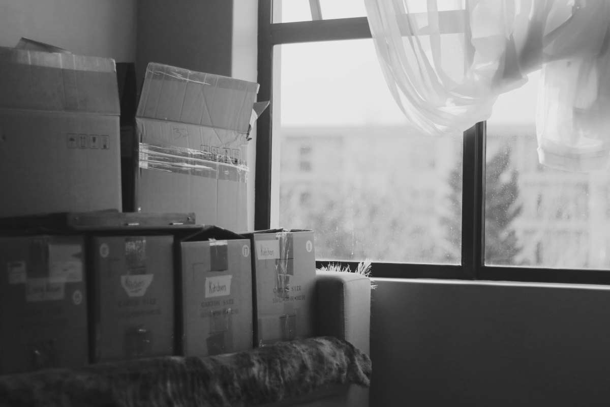 An (Un)Helpful Guide to Moving in A Pandemic